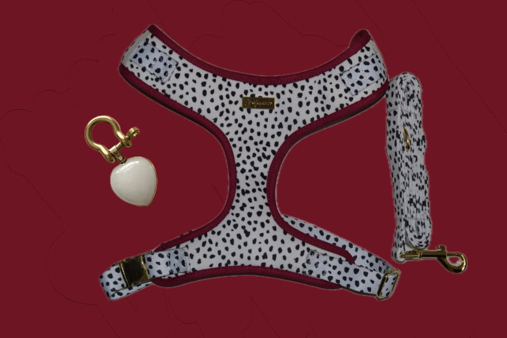 Dalma Bold | Harness, Leash & White Jade crystal set (exclusive)