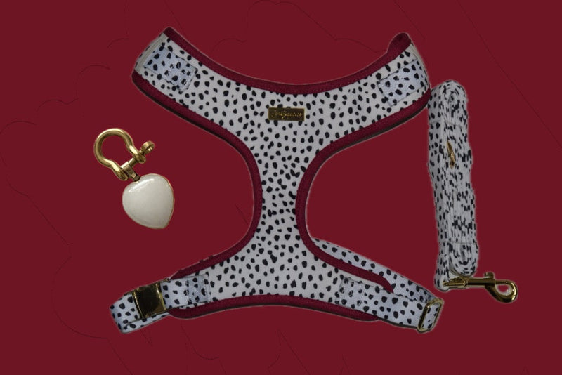 Dalma Bold | Harness, Leash & White Jade crystal set (exclusive)