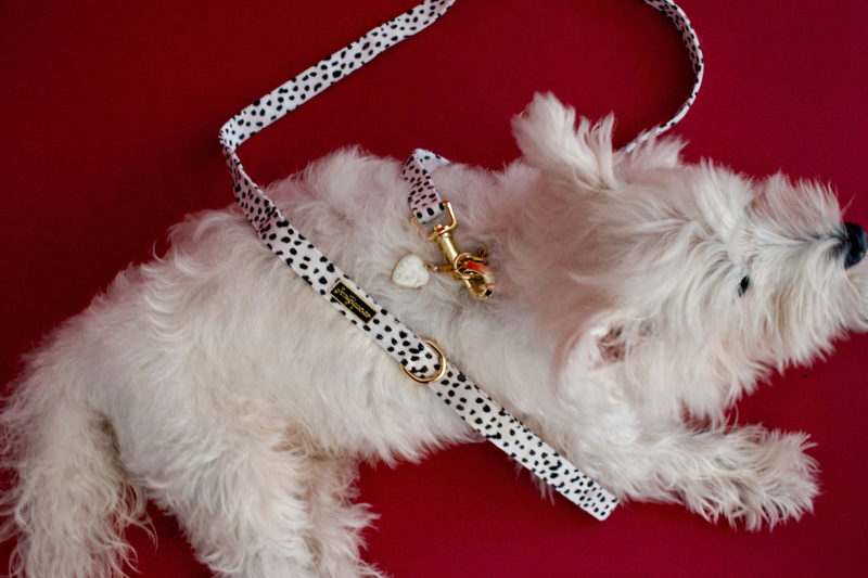 Dalma Bold | Leash & White Jade crystal