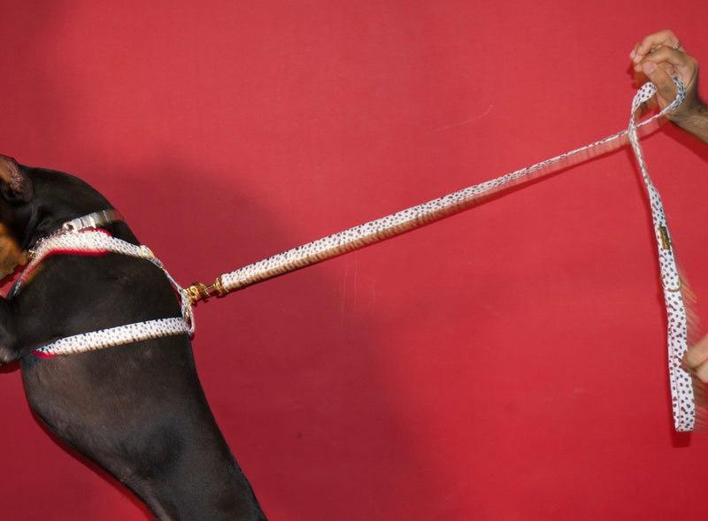 Dalma Bold | Leash & White Jade crystal