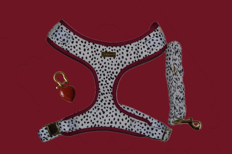 Dalma Bold | Harness, Leash & Red Rainbow Stone crystal set (exclusive)