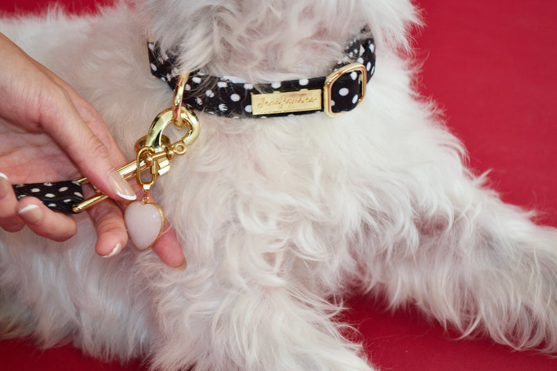 Quiet Polka | Collar, leash & White Jade crystal set (exclusive)