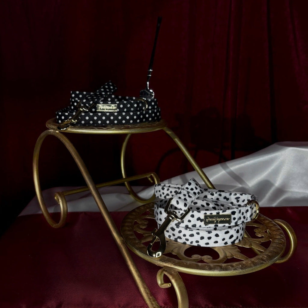 Quiet Polka | Leash & Red Rainbow Stone crystal