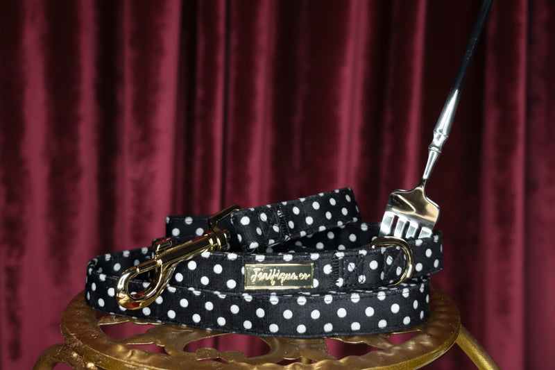 Quiet Polka | Leash & White Jade crystal