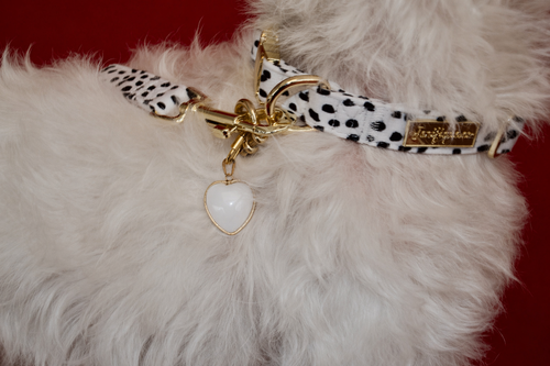 Dalma Bold | Collar, Leash & White Jade crystal set (exclusive)