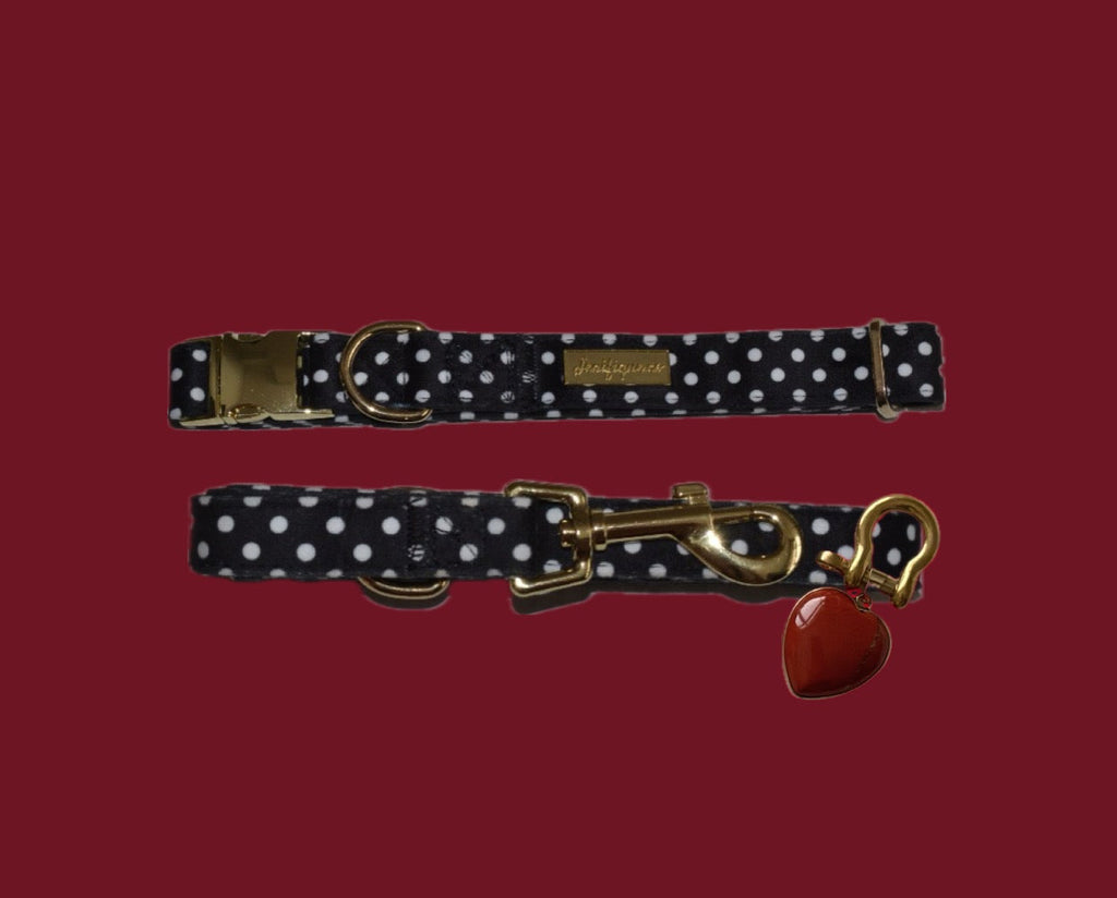 Quiet Polka | Collar, Leash & Rainbow stone crystal set (exclusive)
