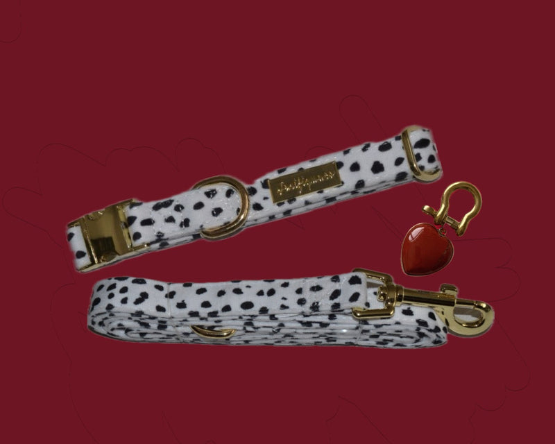 Dalma Bold | Collar, Leash & Red Rainbow Stone set (exclusive)