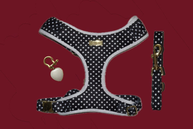 Quiet Polka | Harness, Leash & White Jade crystal set (exclusive)