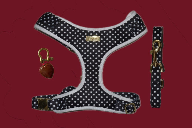 Quiet Polka | Harness, Leash & Red Rainbow Stone crystal set (exclusive)