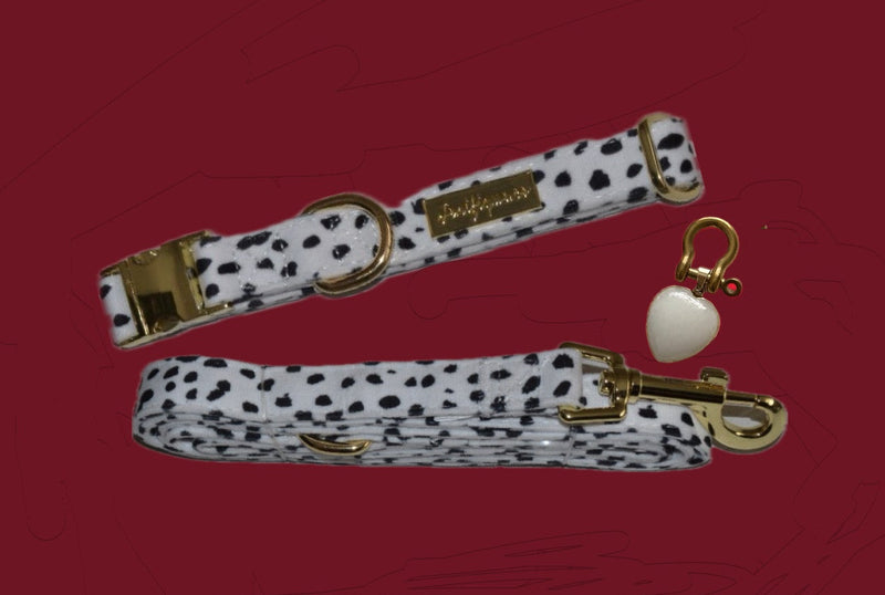 Dalma Bold | Collar, Leash & White Jade crystal set (exclusive)