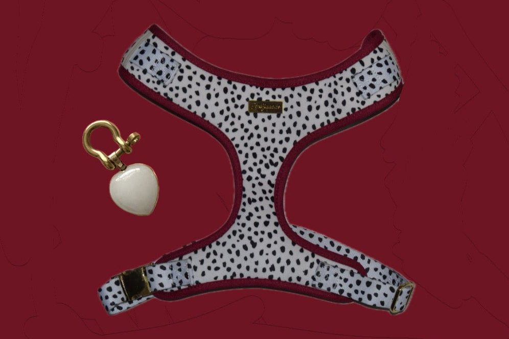 Dalma Bold | Harness & White Jade crystal