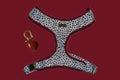 Dalma Bold | Harness & Red Rainbow Stone crystal
