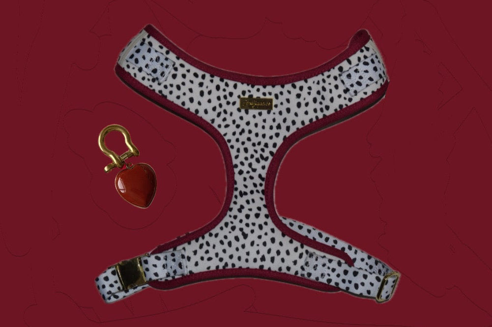 Dalma Bold | Harness & Red Rainbow Stone crystal