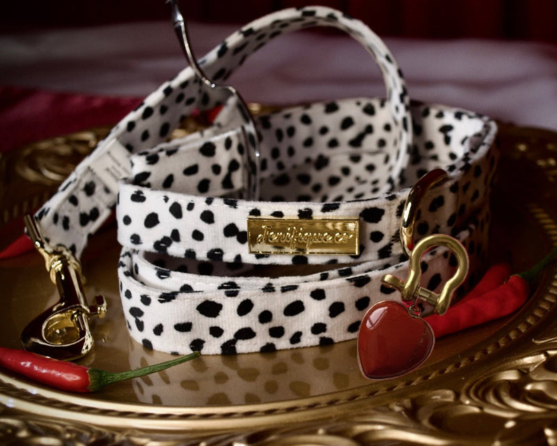 Dalma Bold | Leash & Red Rainbow Stone crystal