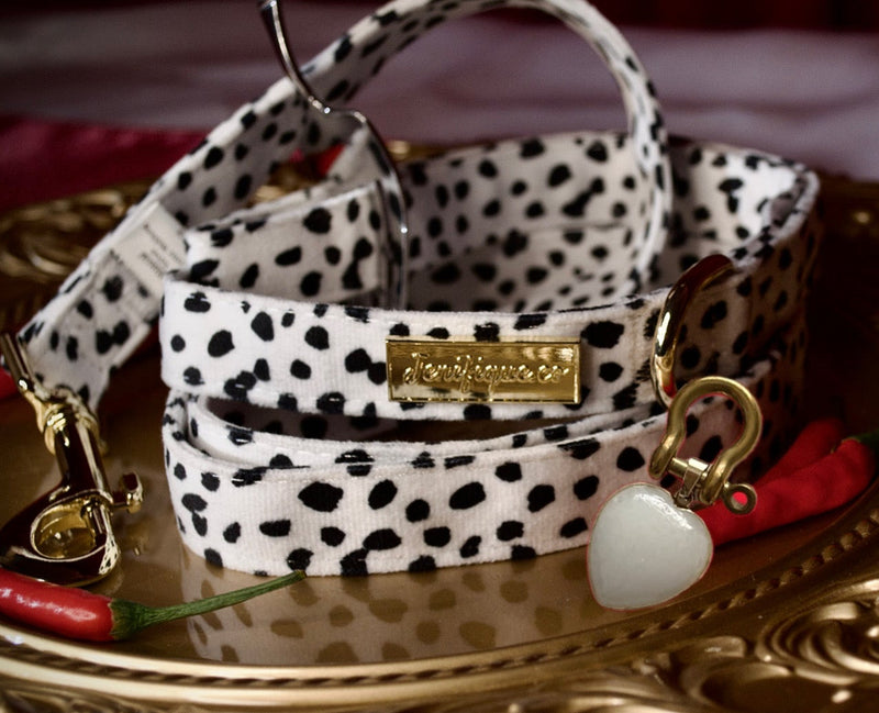 Dalma Bold | Leash & White Jade crystal