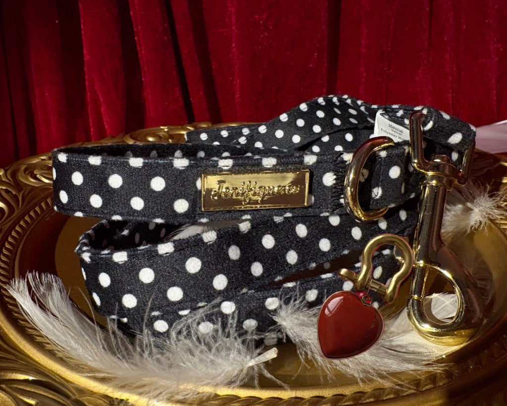 Quiet Polka | Leash & Red Rainbow Stone crystal