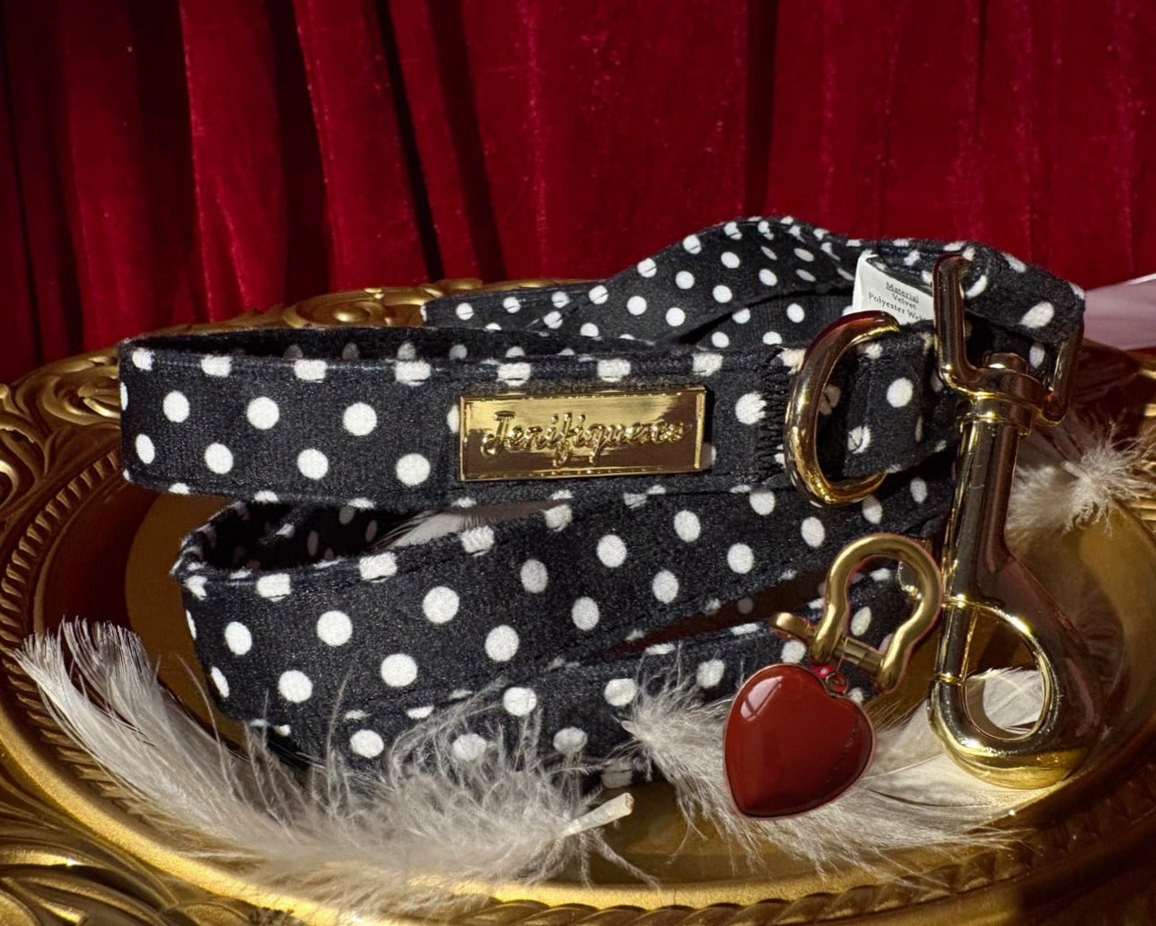 Quiet Polka | Leash & Red Rainbow Stone crystal