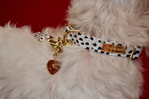 Dalma Bold | Collar, Leash & Red Rainbow Stone set (exclusive)