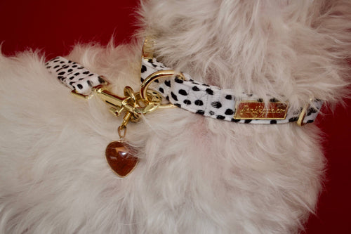 Dalma Bold | Collar & Red Rainbow Stone crystal